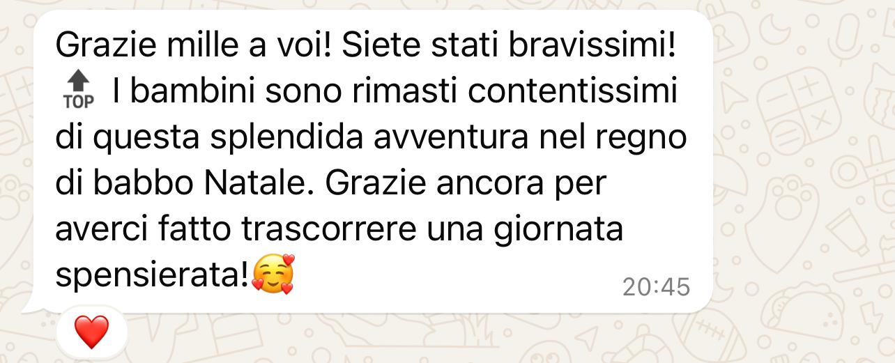 Storie delle gite scolastiche al Regno di Babbo Natale